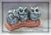 Silicone mold - Three owls 3D - for making soaps, candles and figurines