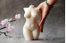 Silicone mold - Big 20cm/8'' Curvy Woman torso #9 3D - for making soaps, candles and figurines