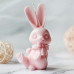 Silicone mold - Beautiful Bunny with a bow - for making soaps, candles and figurines