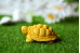 Silicone mold - Little Turtle