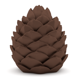 Pine Cone