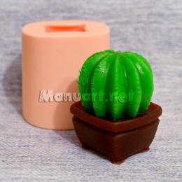 Kaktus 3D