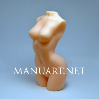 Woman torso