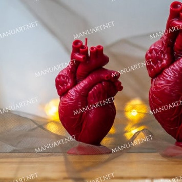 Forma silikonowa - Anatomiczne serce czÅ‚owieka 10 cm - do wyrobu mydÅ‚a, Å›wiec i odlewÃ³w 
