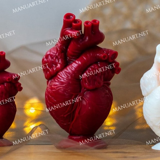 Forma silikonowa - Anatomiczne serce czÅ‚owieka 13 cm - do wyrobu mydÅ‚a, Å›wiec i odlewÃ³w 