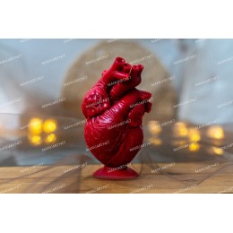 Forma silikonowa - Anatomiczne serce czÅ‚owieka 13 cm - do wyrobu mydÅ‚a, Å›wiec i odlewÃ³w 