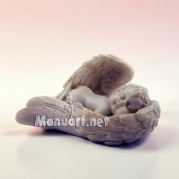 Aniołek w Skrzydłach